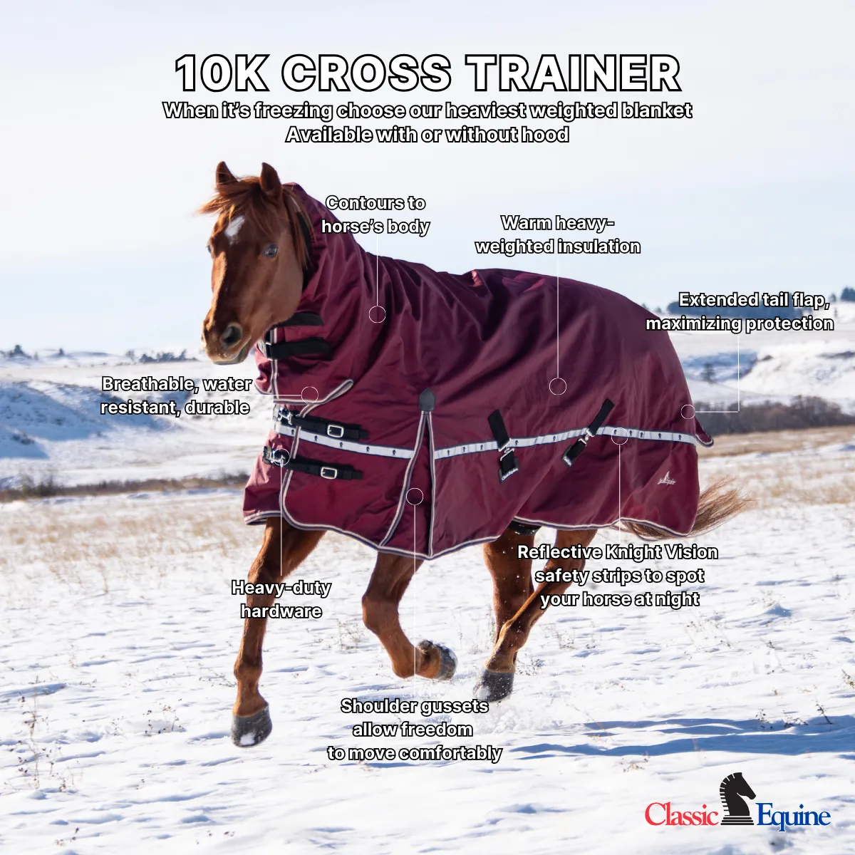 Classic Equine 10K Cross Trainer Turnout Blanket- Black