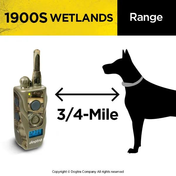 Dogtra 1900s Wetlands New Year Sale 🥳