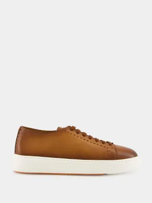 Light Brown Clean Row Leather Sneakers
