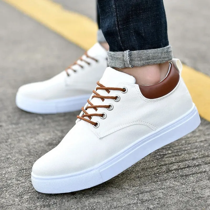 Lightweight canvas sports shoes for men