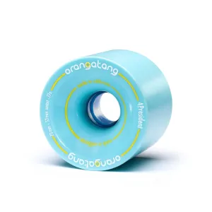 Orangatang  4President 70mm